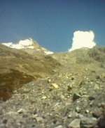 immagine_15__144.jpg