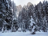 odle-neve_136.jpg