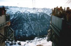 wlf_630.jpg