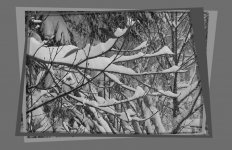 nevicafitto_138.jpg