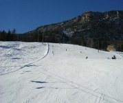 dscn1274300x300_154.jpg