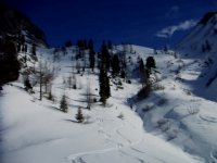 da_passo_san_pellegrino_a_pozza_via_passo_selle_10_feb_2007_063_363.jpg