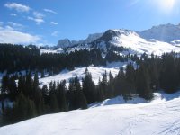 immagine_037ss_202.jpg