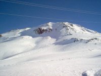 im000555_989.jpg