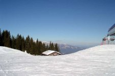 dsc07083_725.jpg