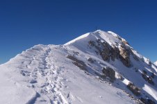 f_545.jpg