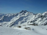 1365_104.jpg