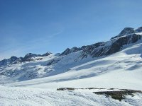 1362_579.jpg