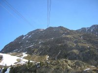 1355_424.jpg