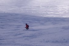 fontari4rid_787.jpg