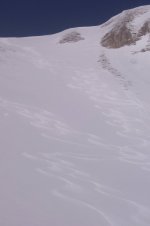 d_192.jpg