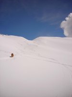 campopericoli_481.jpg