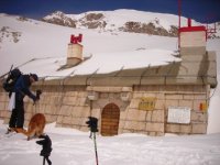 garibaldi_496.jpg