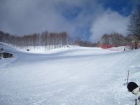 tn_s1030255_884.jpg