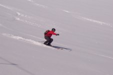 immagine_010_397.jpg