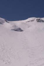 42_784.jpg