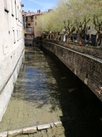 IMG_20230410_142647.jpg