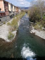 IMG_20230410_124306.jpg