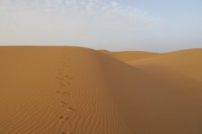 9786033A-8B88-4E7F-A48F-3BFCEECDA607.jpeg