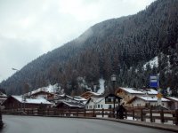 selva_106.jpg