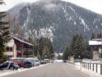 alberiinnevati_118.jpg