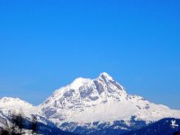 mont_790.jpg