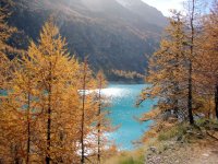 17_945.jpg