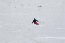 dsc_0011_101.jpg