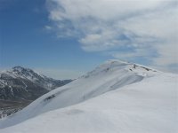 cresta_203.jpg