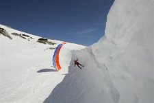 spgal_1_558.jpg