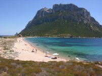 mare1_878.jpg