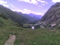 val_ferret_2_227.jpg