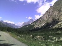 val_ferret_571.jpg