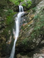 img_4248_156.jpg