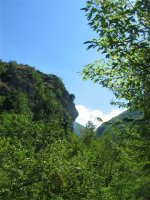 img_4194_748.jpg