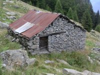 006__baitone_del_cavislone_125.jpg