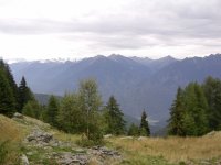 005__curt_bela_951.jpg