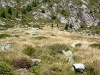 026__piana_del_cavislon_606.jpg
