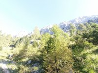 IMG_20230910_091942.jpg