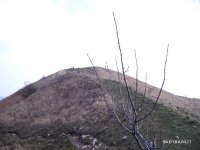 jpg_2_973.jpg