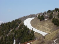 pista_sci_innevata_artificialmente_209.jpg
