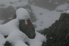 jpg_2_194.jpg