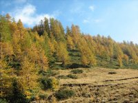 che_colori2_773.jpg