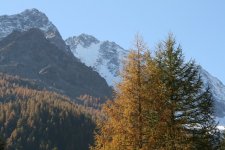 jpg_3_128.jpg