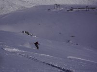 dpp_0002_138.jpg