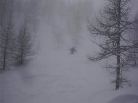 dpp_0003_583.jpg