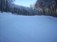pistone1_213.jpg