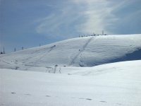 mammarosa_260.jpg