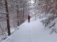 sentiero_543.jpg