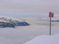 mont_012_939.jpg